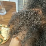 User submitted media