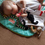 My boo boo loves it