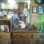 User submitted media