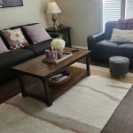 Lilac Shag Checkered Daisy Throw Pillow