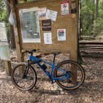 cruiser lowrider bicycle Micargi Female Hero Beach Cruiser, Baby Blue