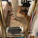 User submitted media 1 of 2