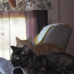 User submitted media 5 of 5