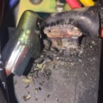 User submitted media