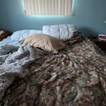 User submitted media