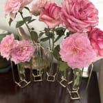 Brass and Clear Glass Test Tube Vases