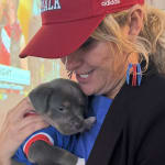 User submitted media