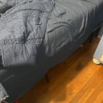 User submitted media