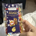 Riegelein Mini Santa Chocolates 20 Count