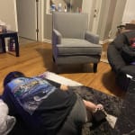 User submitted media