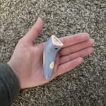 User submitted media