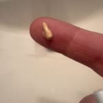 User submitted media 1 of 3