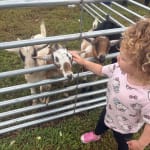 User submitted media