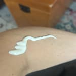 User submitted media 1 of 2