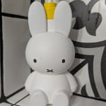 User submitted media