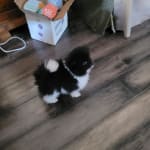 User submitted media 2 of 2