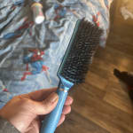 User submitted media