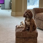 User submitted media 1 of 5