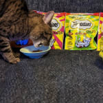 User submitted media