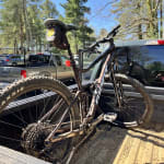 Giant stance 2025 29 1 rosewood