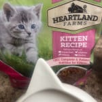 Heartland farms shop kitten food