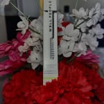 User submitted media 2 of 3