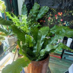 Copper Patina Metal Planter