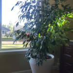User submitted media 1 of 2