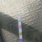 User submitted media