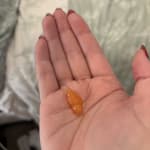 User submitted media 2 of 2