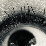 User submitted media 2 of 4