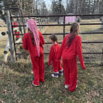 User submitted media