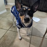 User submitted media