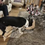 User submitted media 2 of 2