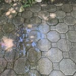 User submitted media