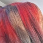 User submitted media