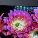 User submitted media 1 of 3