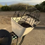 Electra Basil Pet Carrier Electra Bikes