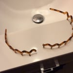 User submitted media