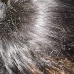 User submitted media 2 of 2