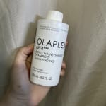 User submitted media 1 of 2