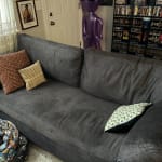 User submitted media