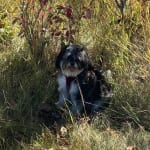 User submitted media 1 of 6