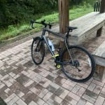 Trek Domane AL 2 Gen 4 - Trek Bicycle Store of Bradenton, FL
