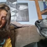 User submitted media