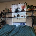 Laney leaf queen storage clearance headboard