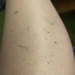 User submitted media