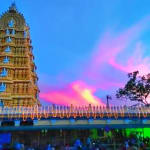 User submitted media