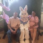 User submitted media