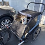 User submitted media